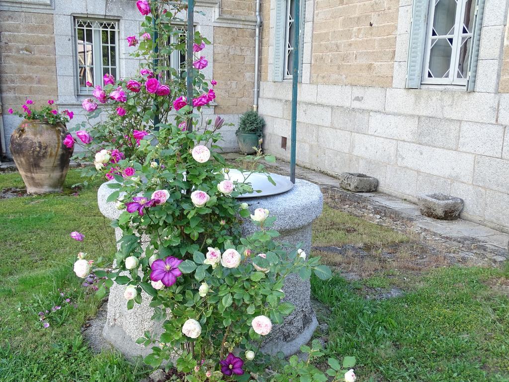 Chateau De Crocq - Chambres D'Hotes De Charme 외부 사진